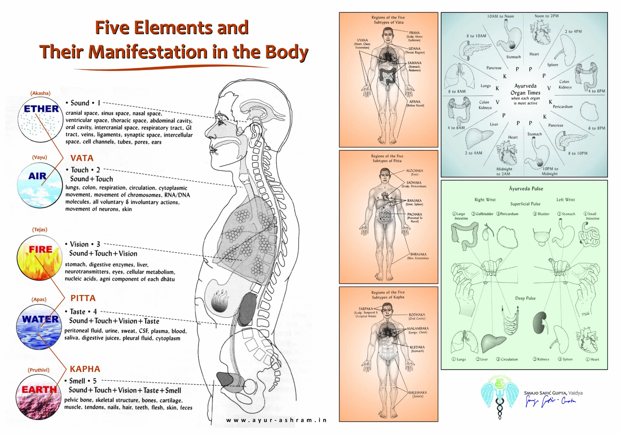 FiveElements-ayur-ashram-dr_gupta
